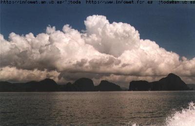 Per qu&egrave; n&uacute;vols?